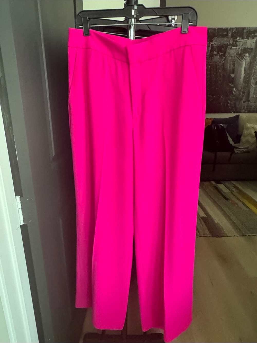NWOT Banana Republic Hot Pink Wide-Leg Pants